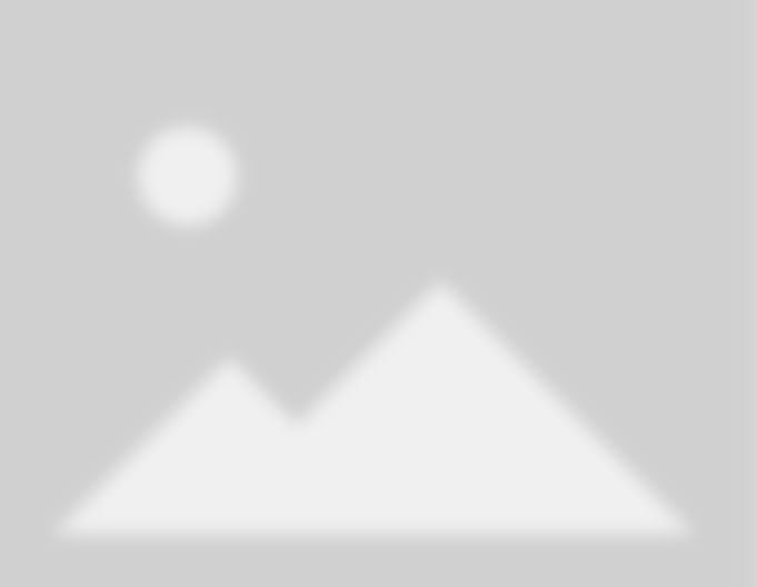 Slide 1 — Expert Tree Care and Lawn Solutions